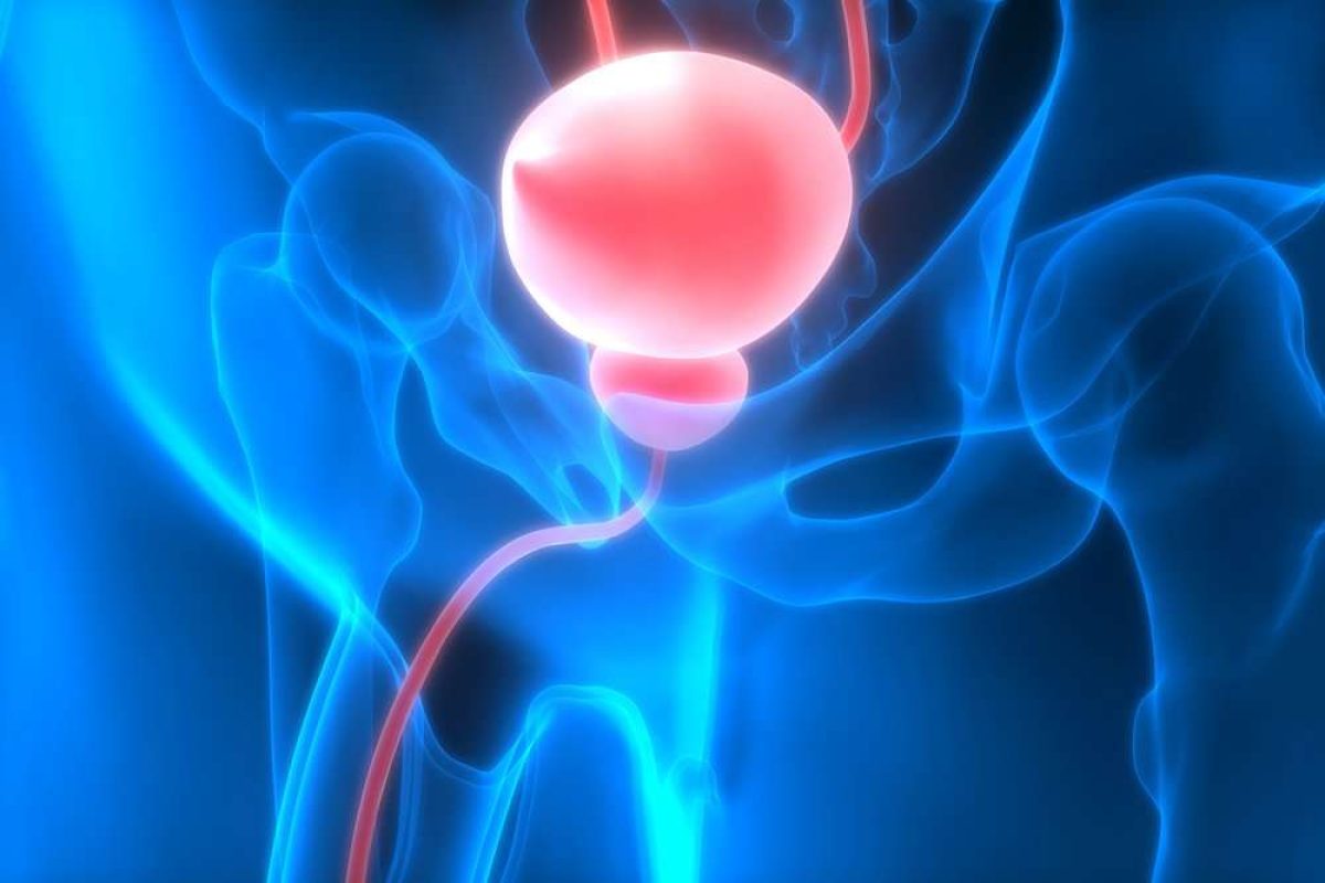 DDWJournal's tweet photo. Algae microbots increase drug penetration 10x in bladder cancer
https://t.co/jgQmi32Iq5
Follow DDW; Business insights for the global scientific community
#BladderCancer https://t.co/ICA7R5AHAL