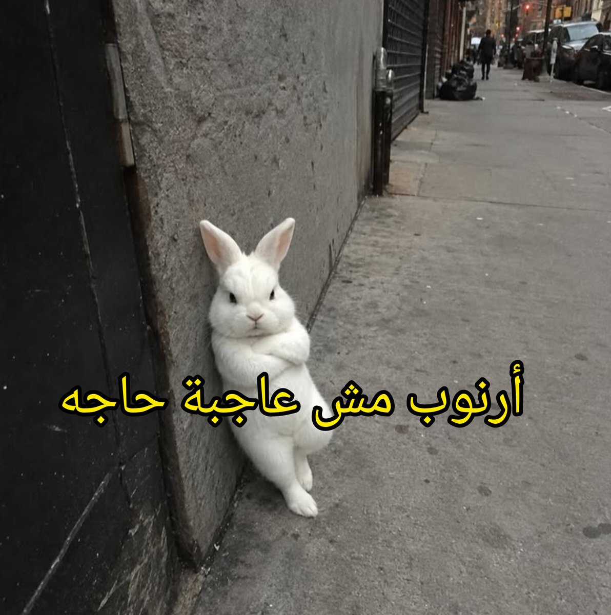 يبن الجزمة يمستفز دا أنت عايز ٣٠ طلقة في دماغك🚩 tweet media