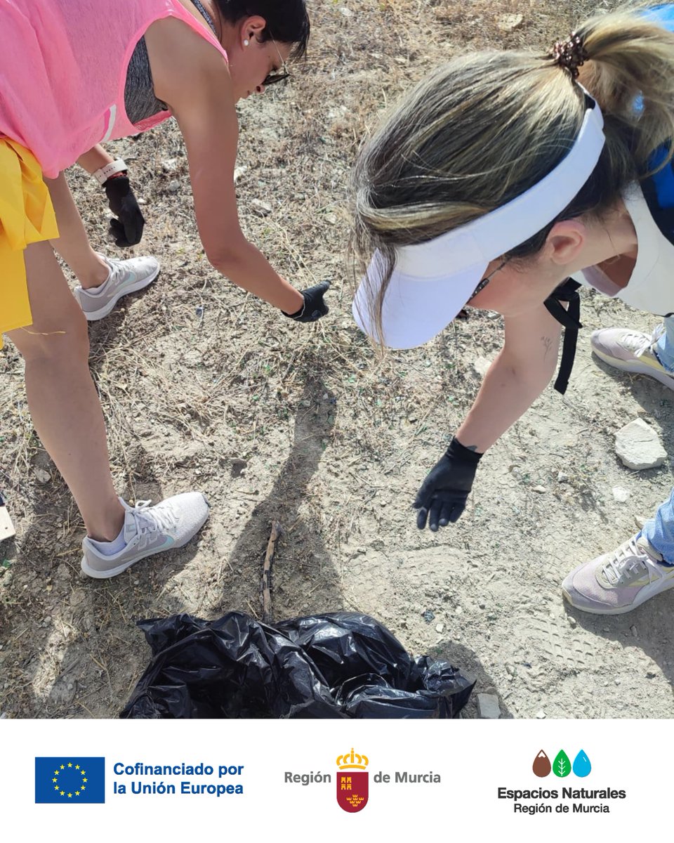 SierraEspunaPR's tweet photo. Con motivo del #DíaMundialDelMedioAmbiente, el #ServicioDeInformación de #SierraEspuñaPR, junto a la Asociación de Mujeres de Doña Inés, @ecoembes y @SEO_BirdLife, ha participado en una recogida de #Basuraleza dentro del #ProyectoLIBERA ♻️
#CeroResiduos #LIBERA1m2 #PorElClimaYa https://t.co/oNb9NpDudy