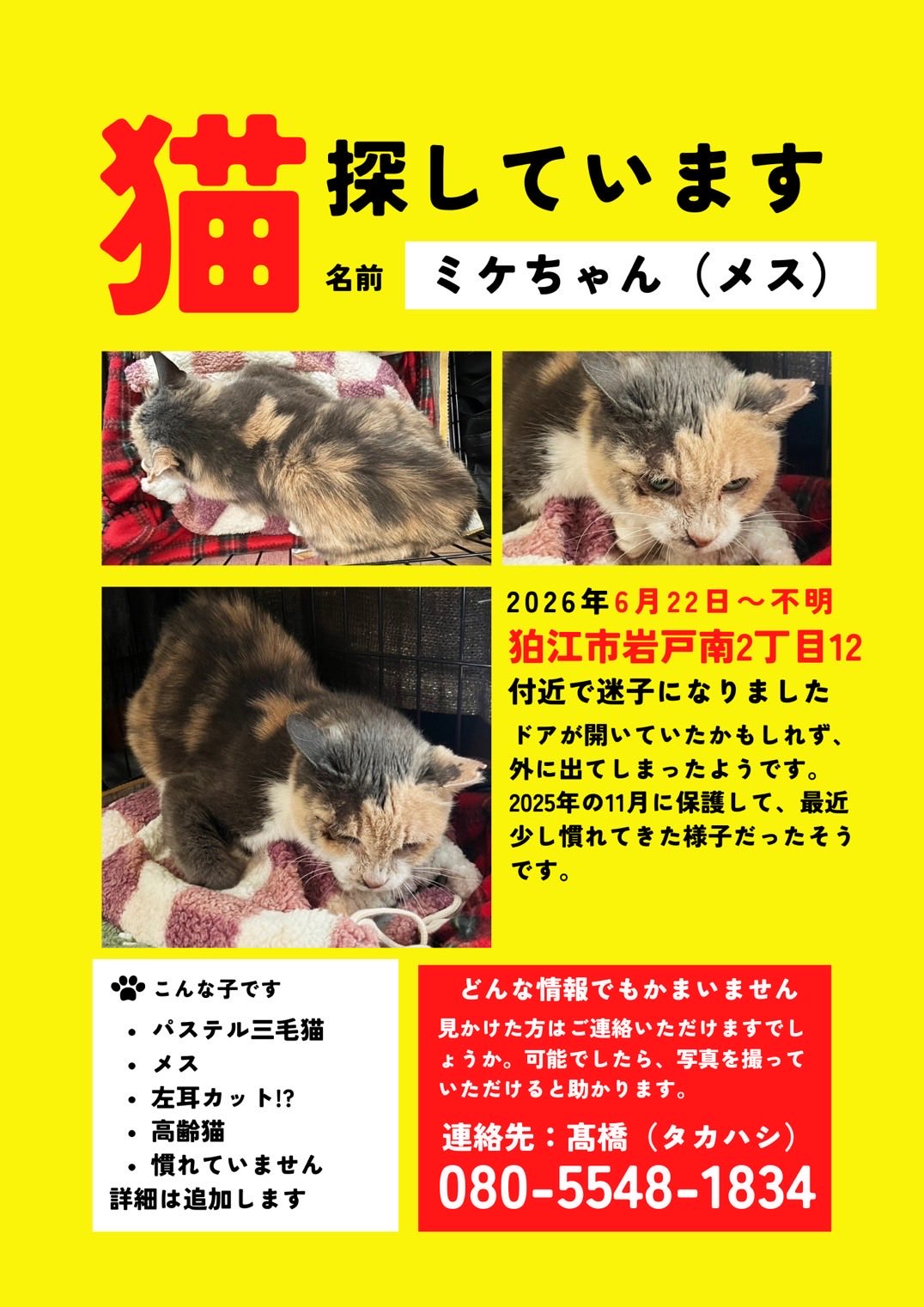 狛江地域ねこの会 on X: 