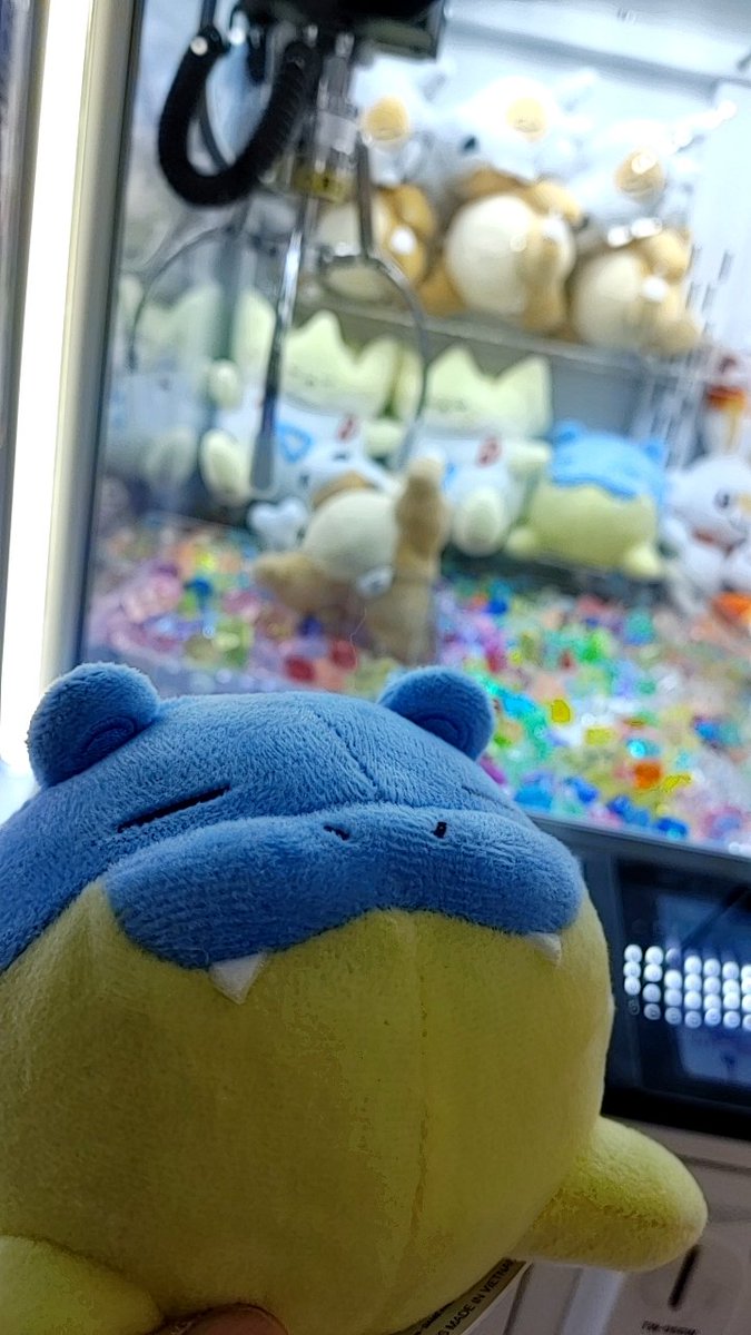 atyopy's tweet photo. 今日から再販？のタマザラシぬいぐるみ無事にゲットしてきた！
ちっこくてかわいいねえ… https://t.co/4DhyfcaMy8