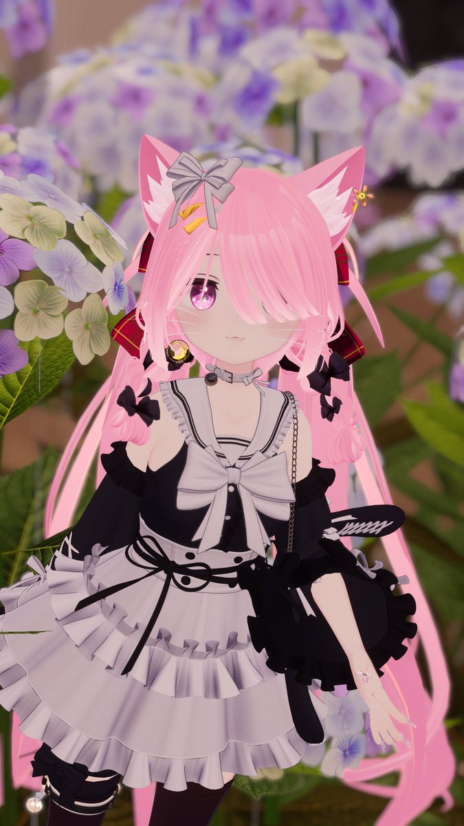 おはしゅいね✨🐈‍⬛
