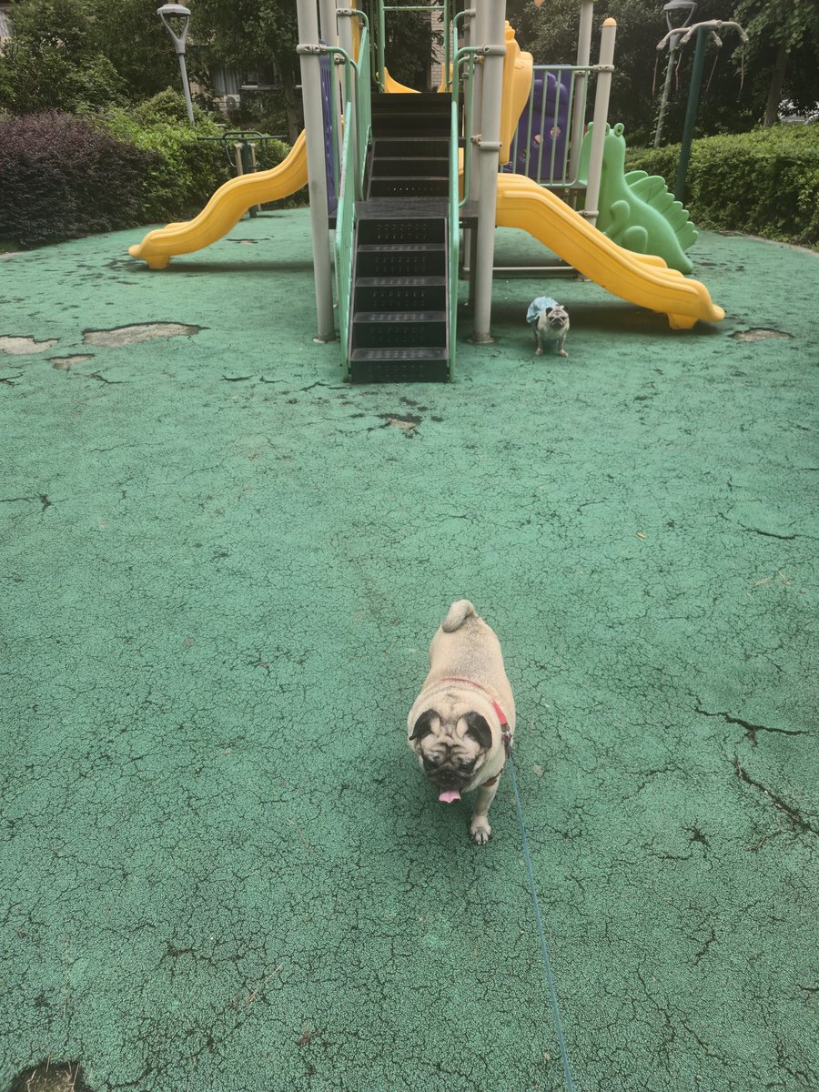 ladd148's tweet photo. 子供公園の前を通る https://t.co/TyKHxFBxlX