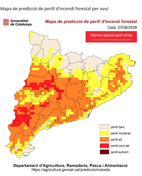 emergenciescat tweet picture