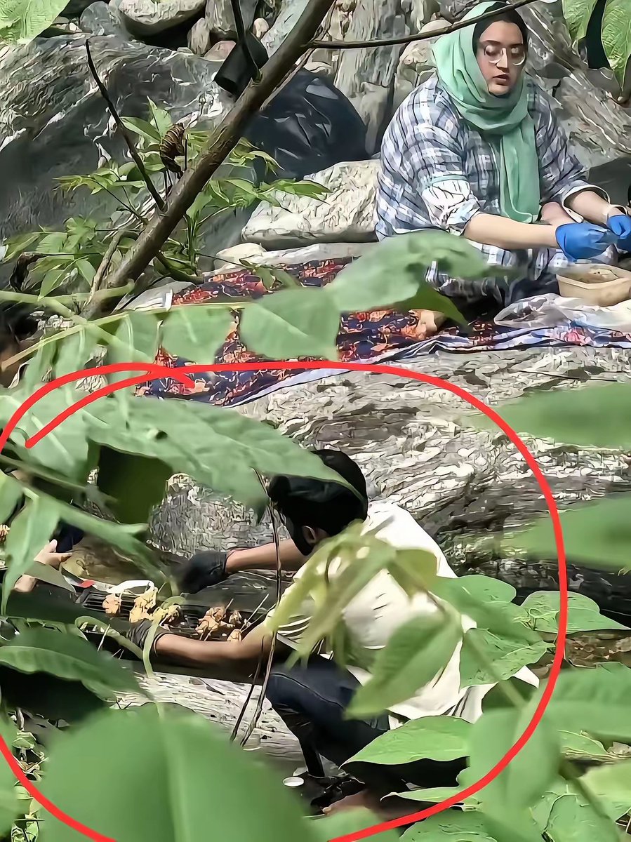 又游客在西安金龙峡景区拍到,几名印度人躲进秦岭半山腰密林深处生火烧烤。眼下山林干燥,遍地枯枝落叶,如果引发火灾,后果不可想象😭😭😭
