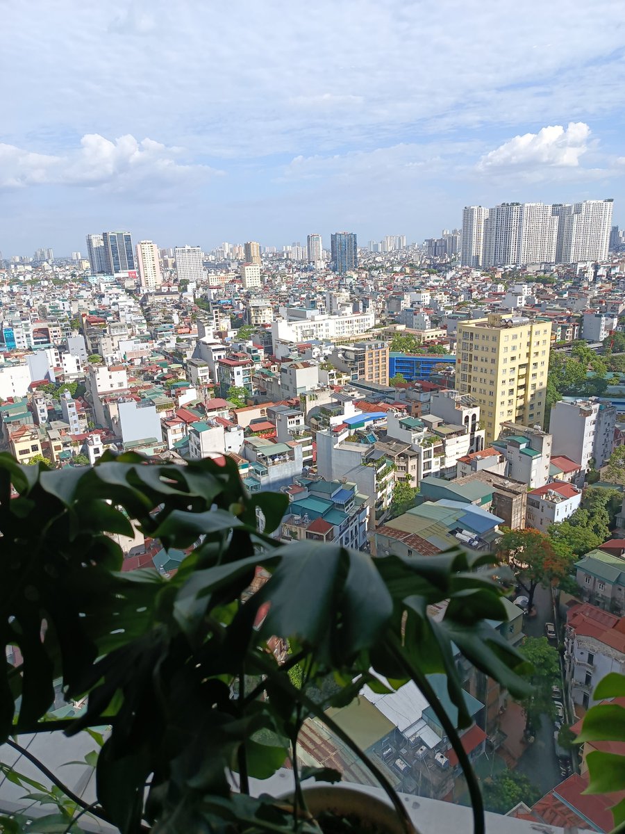 Hà Ngọc tweet media