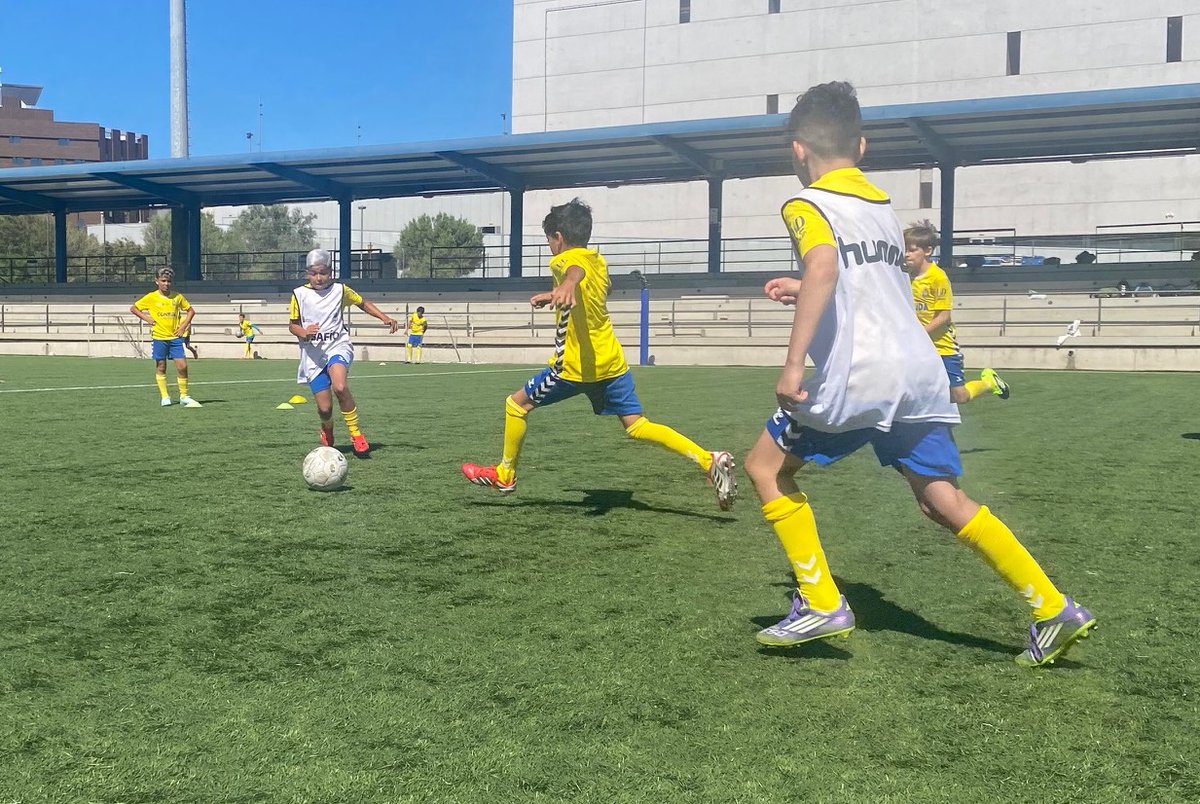 UDLP_Oficial's tweet photo. 🔛 ¡Comienzan los Campus de verano UDLP!

🔸 https://t.co/P1Wl2dkfQG 

#LaUniónHaceLasPalmas #SeremosMásUnión https://t.co/3DFBGjTW30