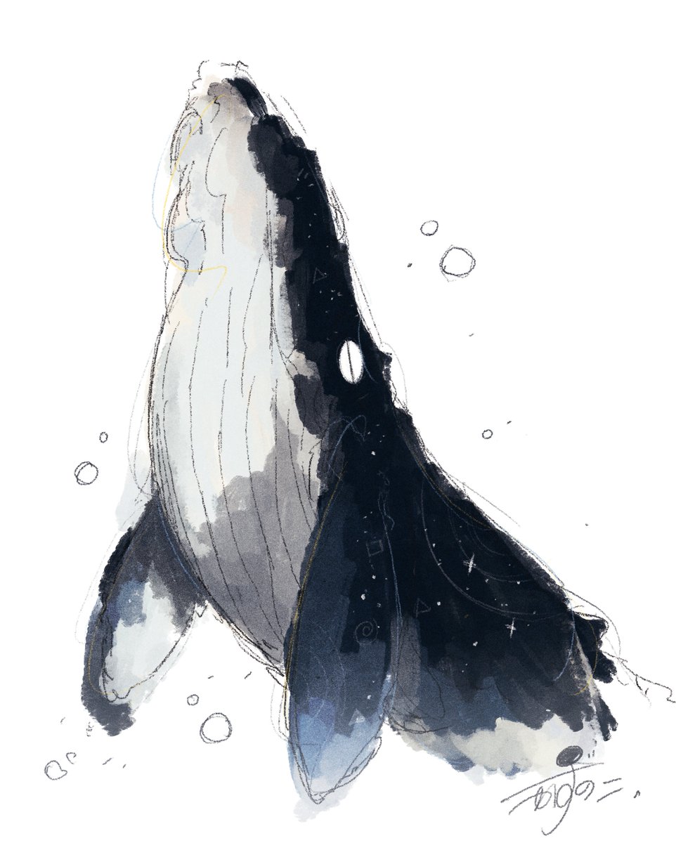 kazunoko_zunoco's tweet photo. くじら！ https://t.co/XJEPlg2LEW