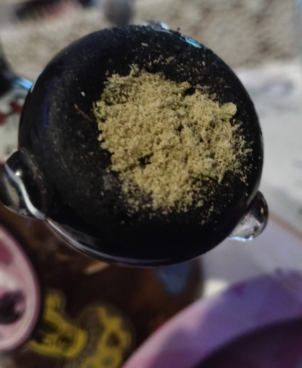 VBnuuy420's tweet photo. Time to get hiiiighhhhh :3 https://t.co/tbY60RR9za