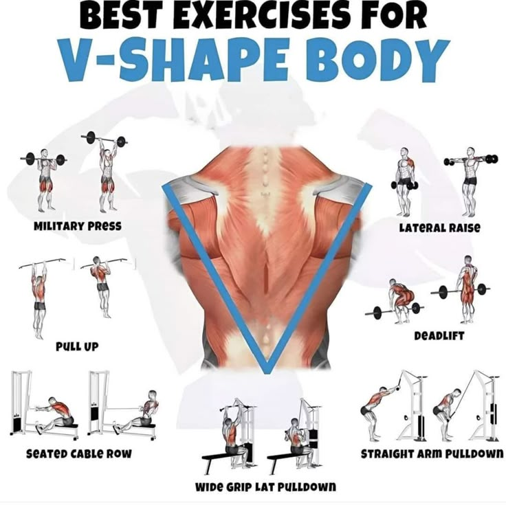 Gym__Hub's tweet photo. BEST EXERCISES FOR V-SNAPE BODY https://t.co/O56alBgiff