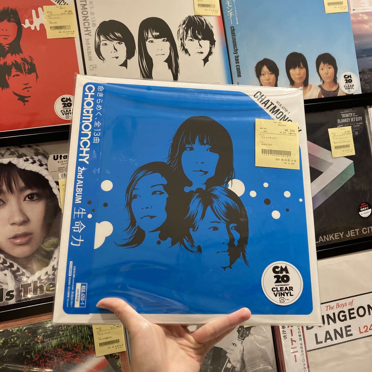 diskunion_dkw's tweet photo. メジャーデビュー20周年を記念して、アナログ化したアルバム4タイトル『chatmonchy has come』『耳鳴り』『生命力』『告白』のセカンドプレス到着しております!
#chatmonchy #チャットモンチー
@chat_staff @diskunion_news https://t.co/ra9teoQetn