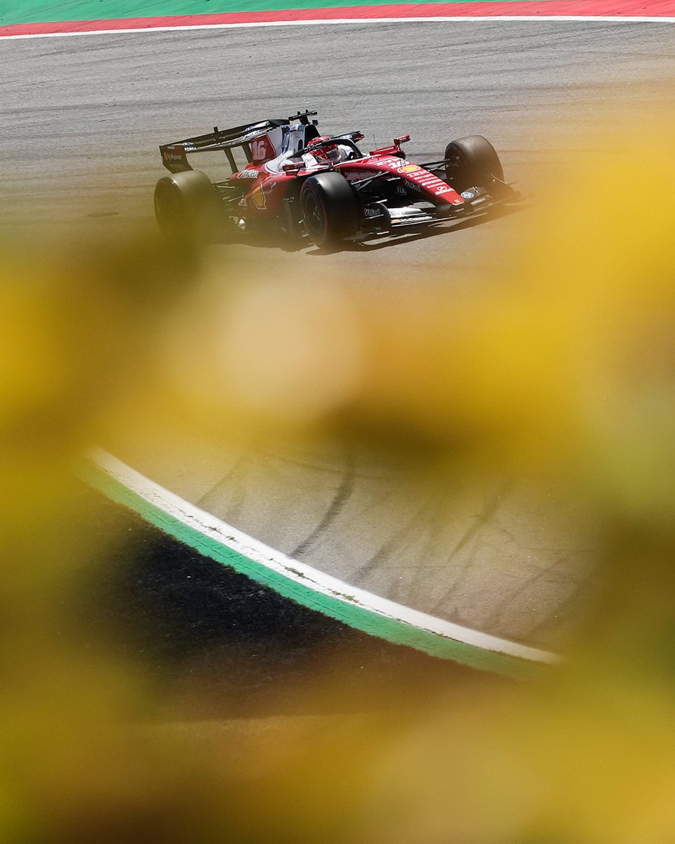 ScuderiaFerrari's tweet photo. Racing amongst summer feels like: 🌼 https://t.co/UbXdsLY4uv