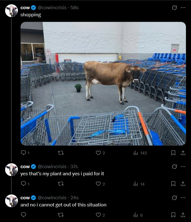Owl tweet media