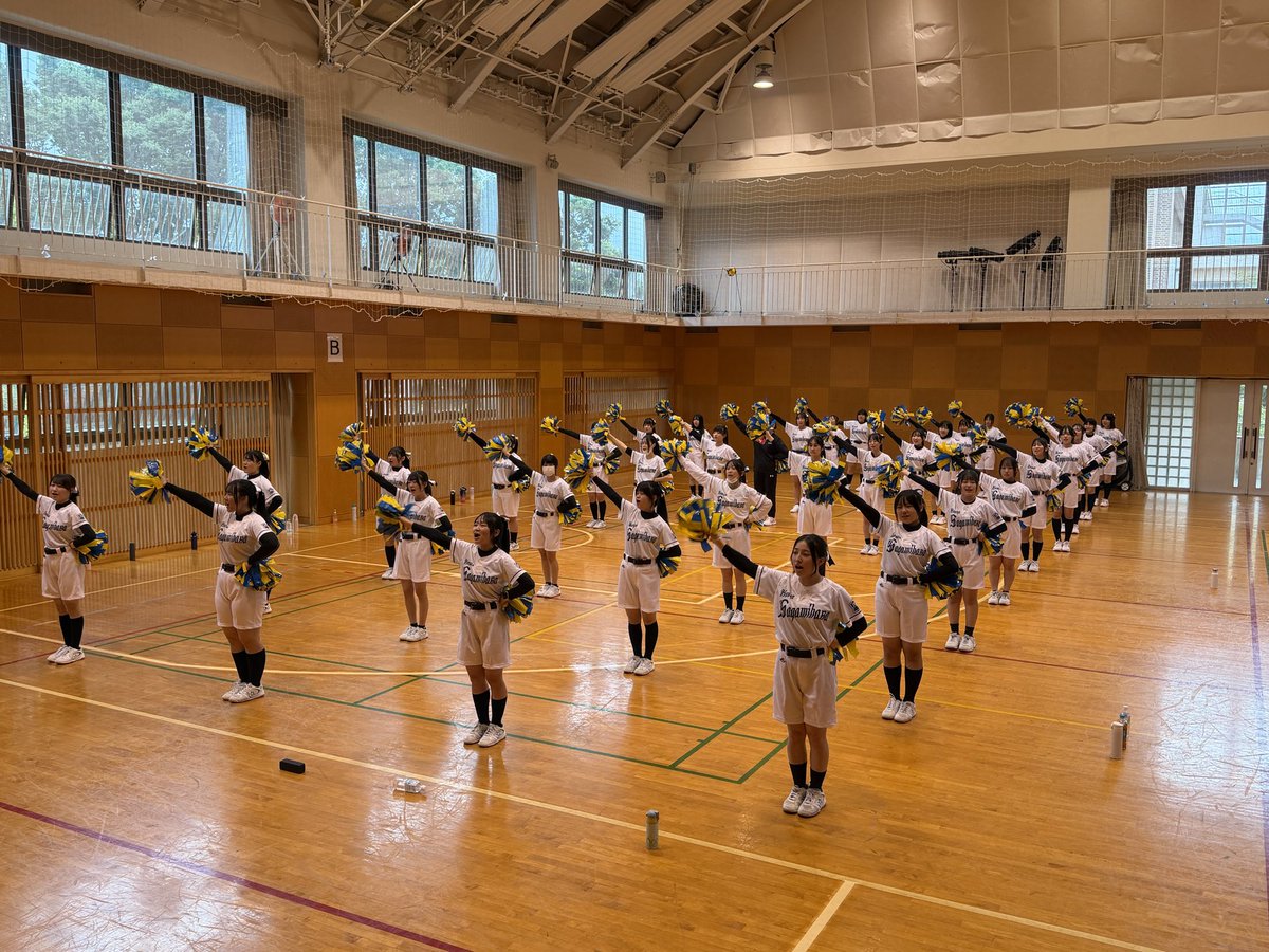 komyokoho's tweet photo. いよいよ来月7月8日に迫った、硬式野球部の試合に向けて、吹奏楽部と応援委員会で合同練習会を行いました。

今年度より新しくなったチアのユニフォームも注目ポイントです📣

ですが、試合の前には期末考査が待っています📚どちらもしっかりと頑張ってほしいです‼️ https://t.co/lq8VT2TeUE