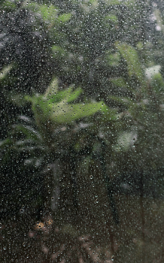 Uksus18's tweet photo. Bus stop vibe on a rainy afternoon—raindrops on the window, strangers’ umbrellas bobbing by. Small moments hit different. https://t.co/vG7G6IKO9n