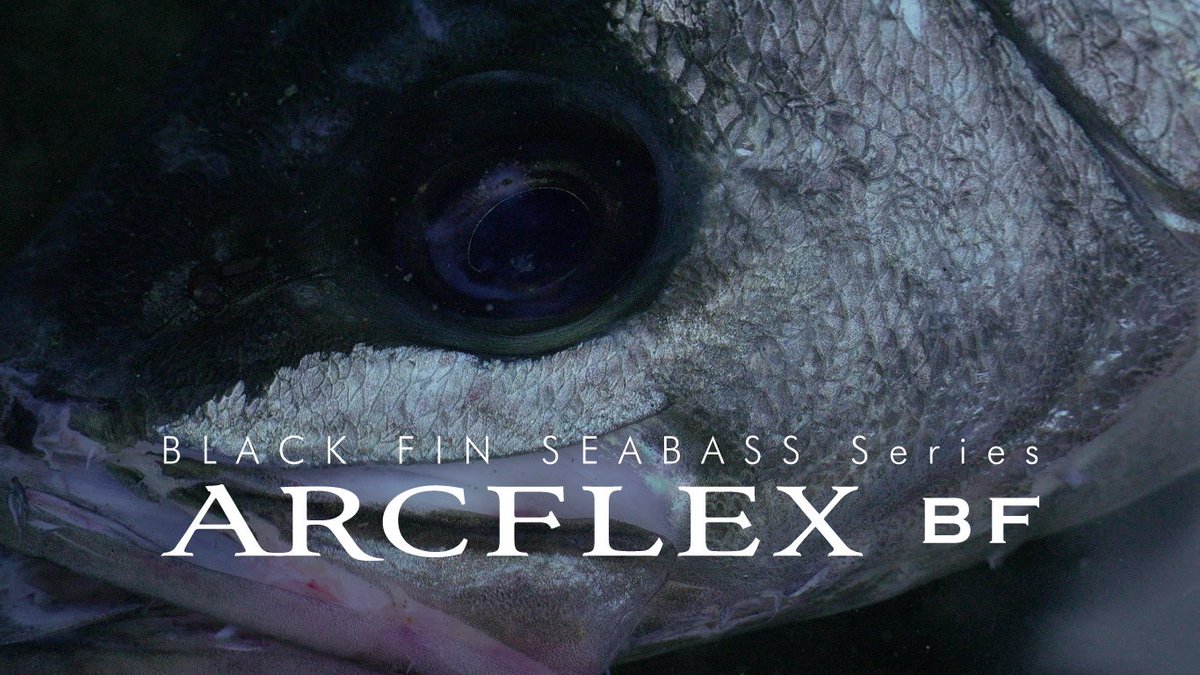 haze0522's tweet photo. 【ヒラスズキ専用ロッド】
ARCFLEX BF “PV 

携わらせていただきましたヒラスズキロッドのPVが公開となりました。
全5機種、各地のヒラスズキアングラーによる開発を経て、実釣動画が随時公開となります！

https://t.co/kuIYHczLfa 

@gamakatsu_jp 
pr https://t.co/eiiotbZBQH