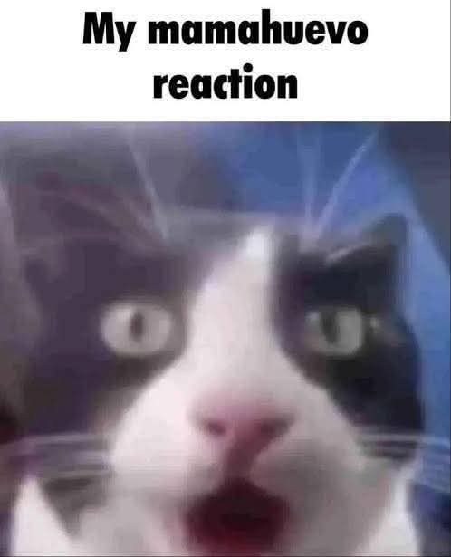InnoNico23's tweet photo. @digitalfujoshit Mi honesta reacción cuando era chamaca xD antes de eso no sabia que era un gei https://t.co/09kypnkxFI