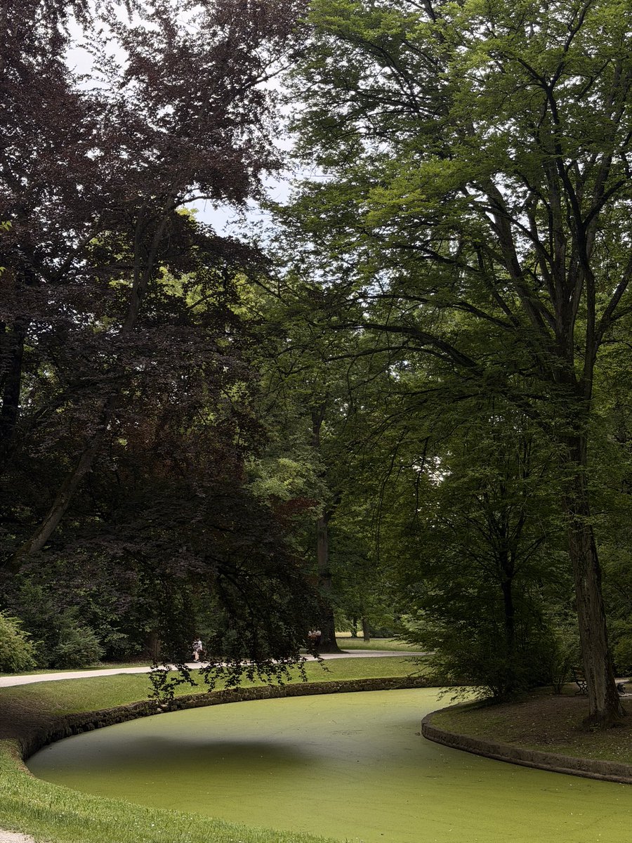 sweetto0's tweet photo. 21.jun 📍Bayreuth, Germany https://t.co/HbbUsQb4LW