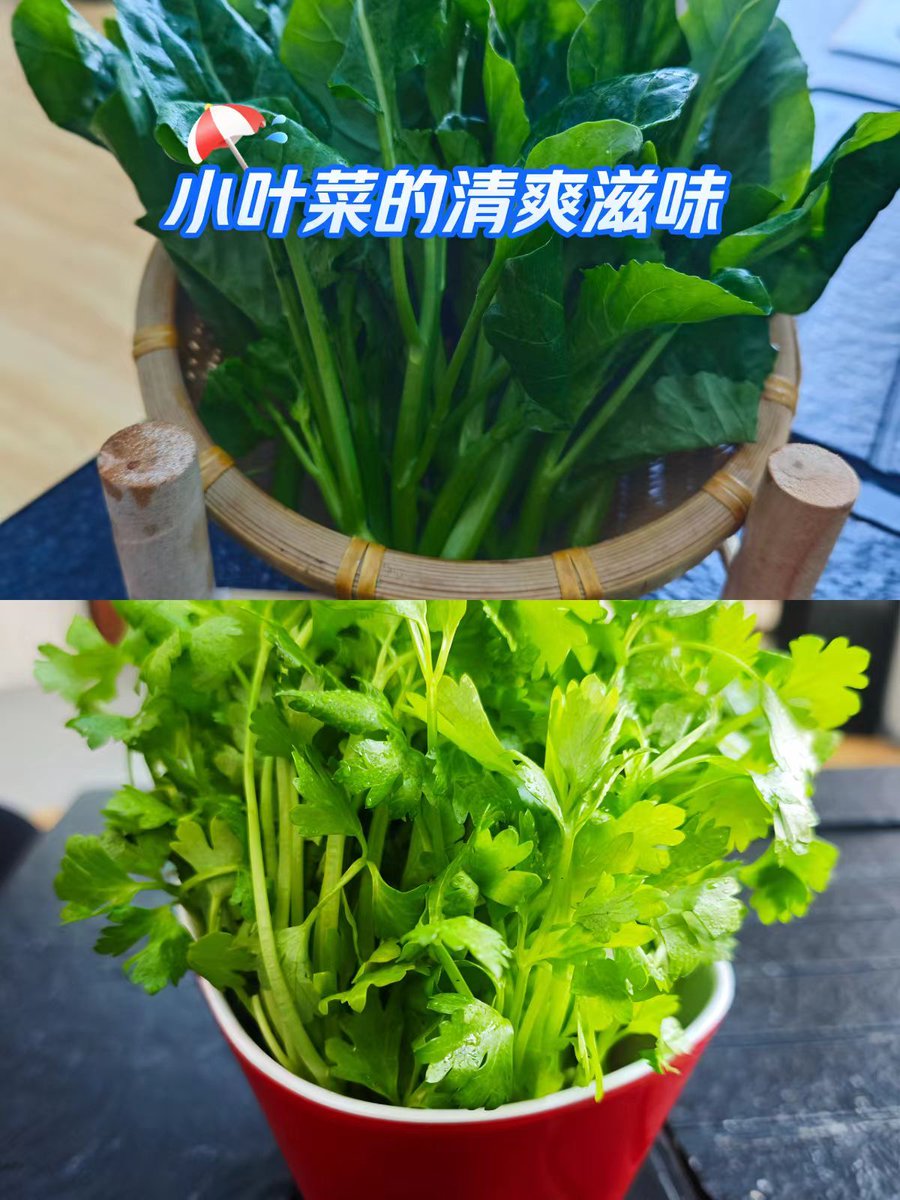 RavvaNaveen1's tweet photo. Just tried the new farm-fresh spinach from local suppliers—crisp, earthy, and no slimy leaves at all! Perfect for morning smoothies or salads. 10/10 would recommend. https://t.co/Gffy86YnVm