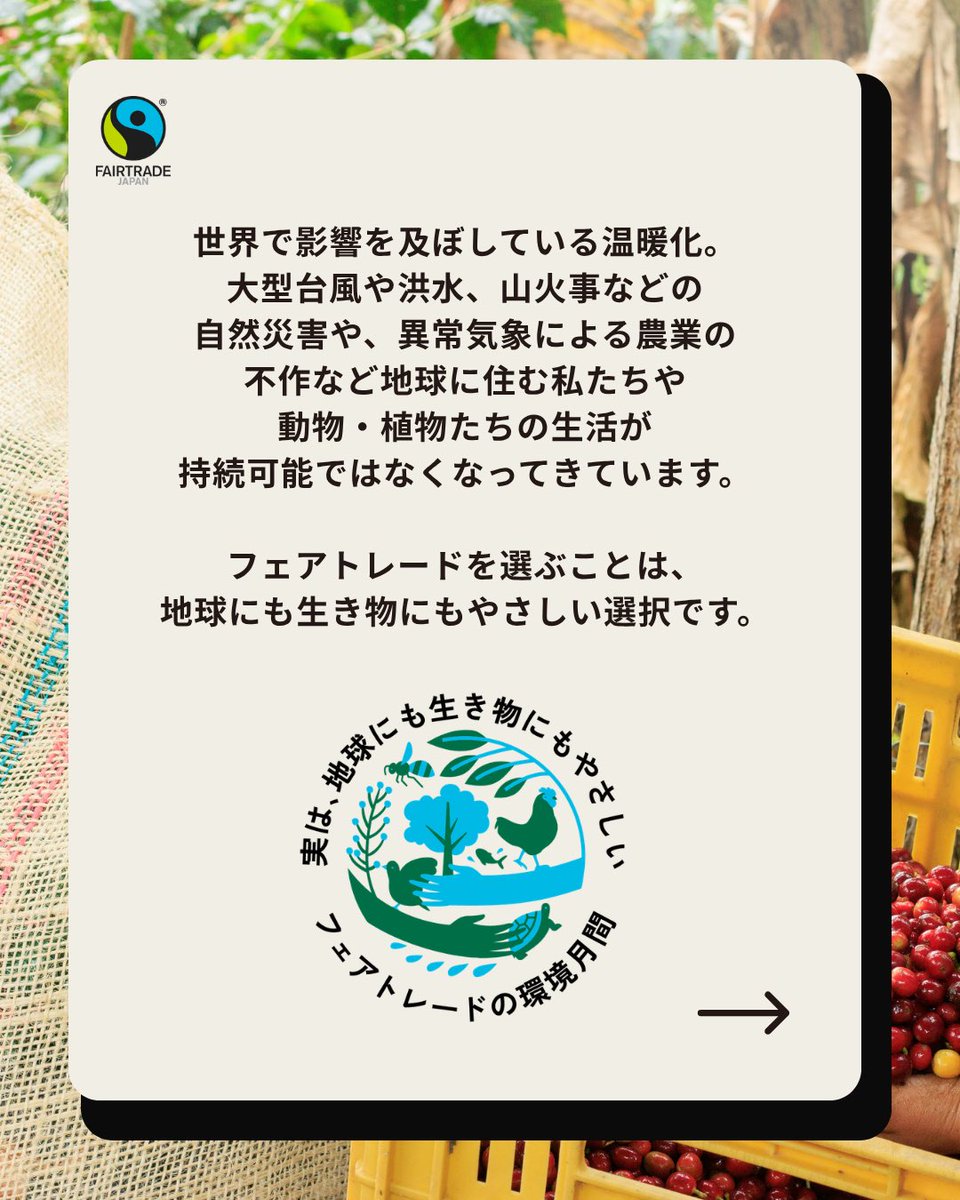fljp's tweet photo. 【フェアトレードの環境月間】フェアトレード × 環境クイズ🌏

実は、地球にも生き物にもやさしいフェアトレード。

6月の「フェアトレードの環境月間」では、まだまだ知られていない「フェアトレード」と「環境保全」のつながりをクイズでお届けします✨

今回の問題は...

『フェアトレードの取引で生産者に支払われる「フェアトレード・プレミアム」というお金。使い道のルールとして正しいのは？』

1. 学校や病院などの生活支援だけに使う
2. 農家の人たちが話し合い、森や水、気候変動への対策にも使える
3. 使い道は最初から海外の会社が決めている

気になる答えは...
スライドしてチェックしてくださいね💚

実は、国際フェアトレード基準には「人と地球を守るための厳しい約束（環境基準）」がセットになっています🤝✨

6月は「フェアトレードの環境月間」。
みなさんも、フェアトレードと環境のつながりを知り、日々の選択肢に「フェアトレード」を加えてみませんか？
商品についている「国際フェアトレード認証ラベル」が目印。ぜひお買い物の際に探してみてください🧑🏼‍🌾🌿

#フェアトレードの環境月間 #フェアトレード #fairtrade #気候変動
