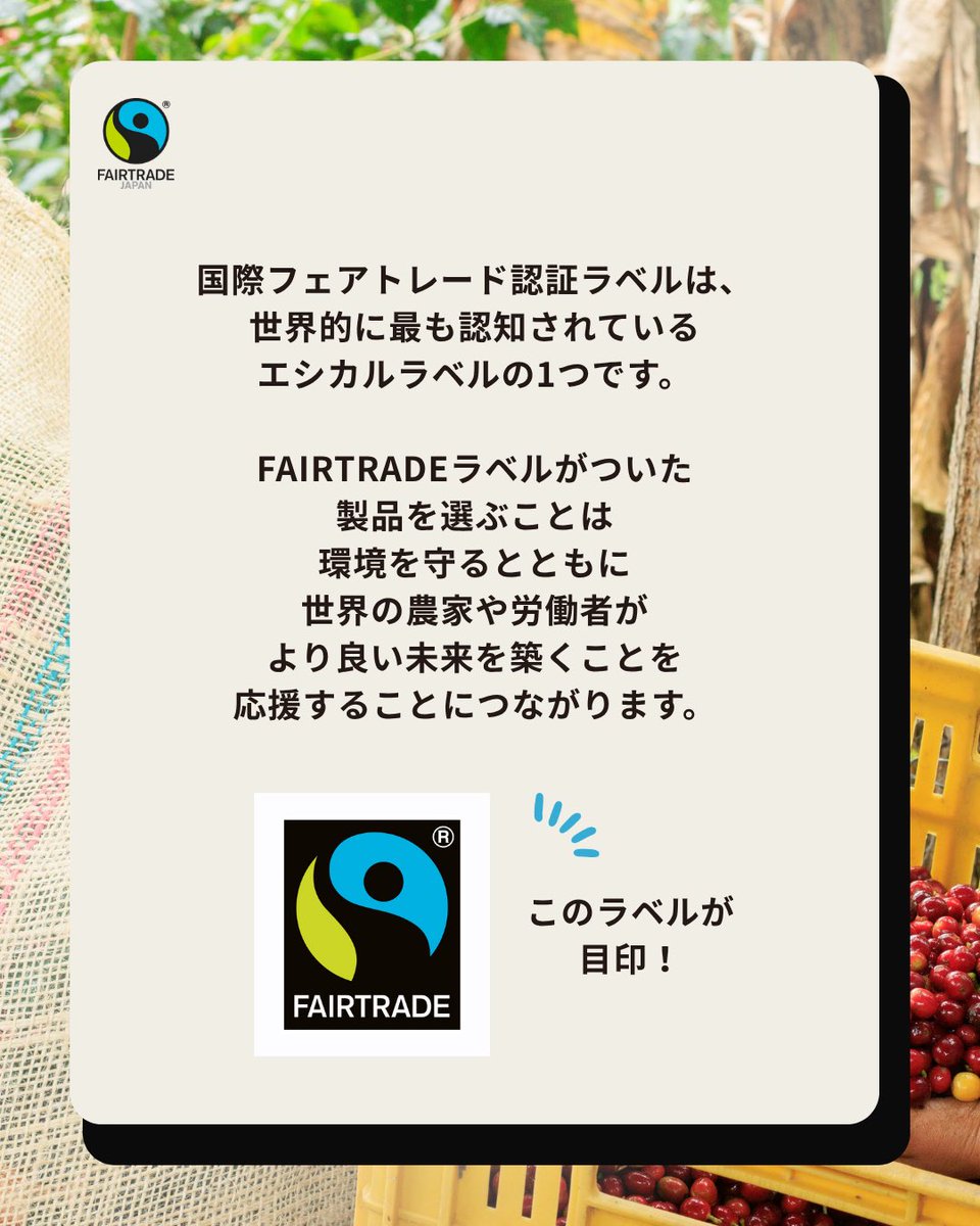 fljp's tweet photo. 【フェアトレードの環境月間】フェアトレード × 環境クイズ🌏

実は、地球にも生き物にもやさしいフェアトレード。

6月の「フェアトレードの環境月間」では、まだまだ知られていない「フェアトレード」と「環境保全」のつながりをクイズでお届けします✨

今回の問題は...

『フェアトレードの取引で生産者に支払われる「フェアトレード・プレミアム」というお金。使い道のルールとして正しいのは？』

1. 学校や病院などの生活支援だけに使う
2. 農家の人たちが話し合い、森や水、気候変動への対策にも使える
3. 使い道は最初から海外の会社が決めている

気になる答えは...
スライドしてチェックしてくださいね💚

実は、国際フェアトレード基準には「人と地球を守るための厳しい約束（環境基準）」がセットになっています🤝✨

6月は「フェアトレードの環境月間」。
みなさんも、フェアトレードと環境のつながりを知り、日々の選択肢に「フェアトレード」を加えてみませんか？
商品についている「国際フェアトレード認証ラベル」が目印。ぜひお買い物の際に探してみてください🧑🏼‍🌾🌿

#フェアトレードの環境月間 #フェアトレード #fairtrade #気候変動