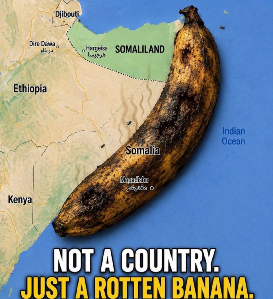 benuhashem's tweet photo. Damn even Saudi’s 🥹now be referring the failed terrorist state of Somalia 🇸🇴 as 🍌🍌🍌🍌جمهورية الموز 😭😭 meaning, the failed rotten banana state with zero stability 🤣😭😂 https://t.co/v2CzdBMoyb