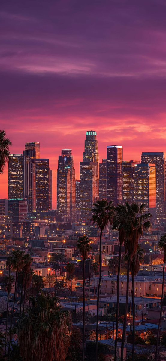 City's Hub ✨️✨️ tweet media
