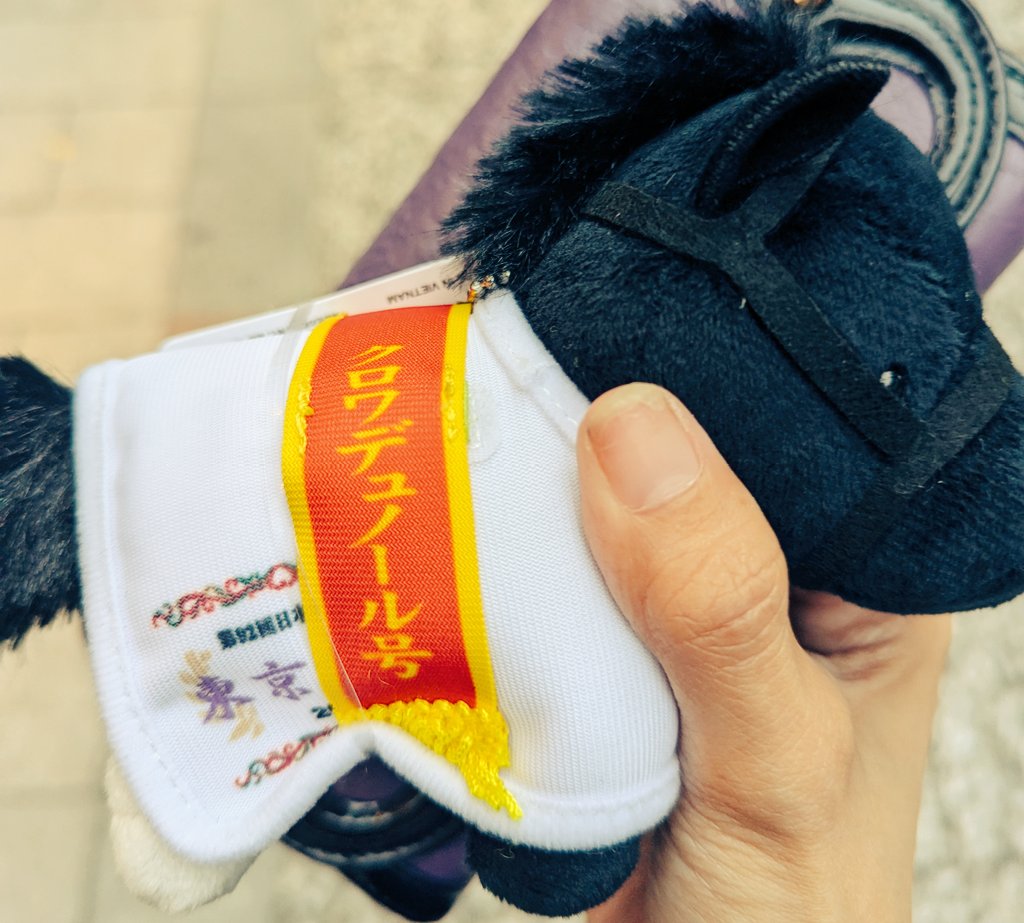 stella_a_iris's tweet photo. 目が合った https://t.co/7iFeyqZ7SR