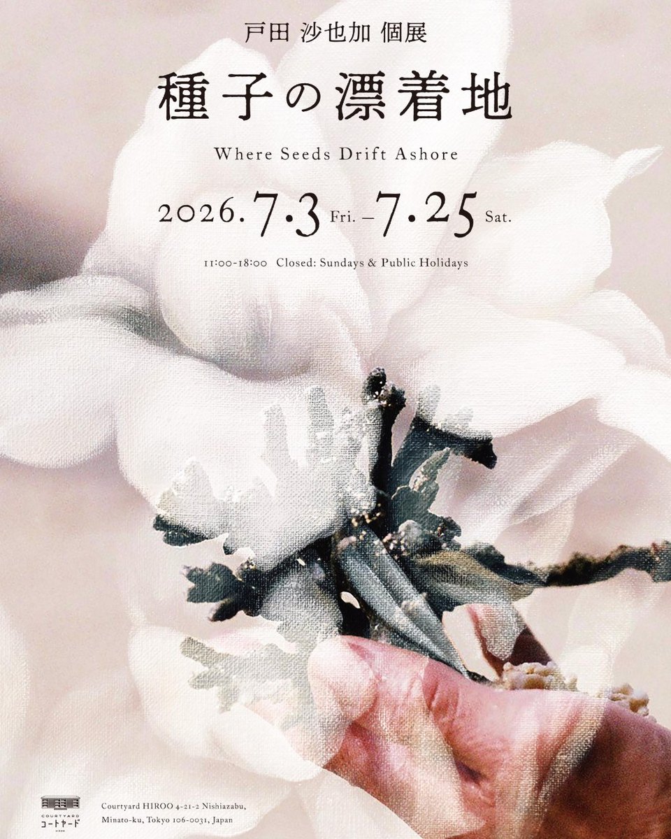 cy_hiroo's tweet photo. 「種子の漂着地」
“Where Seeds Drift Ashore”
会期：2026年7月3日(金)-2026年7月25日(土)
時間：11:00-18:00
休廊：日・祝
オープニングレセプション：7月3日 17:00-20:00

#art #artgallery #展示 #広尾 #コートヤードHIROO https://t.co/bMrUGUTbO0
