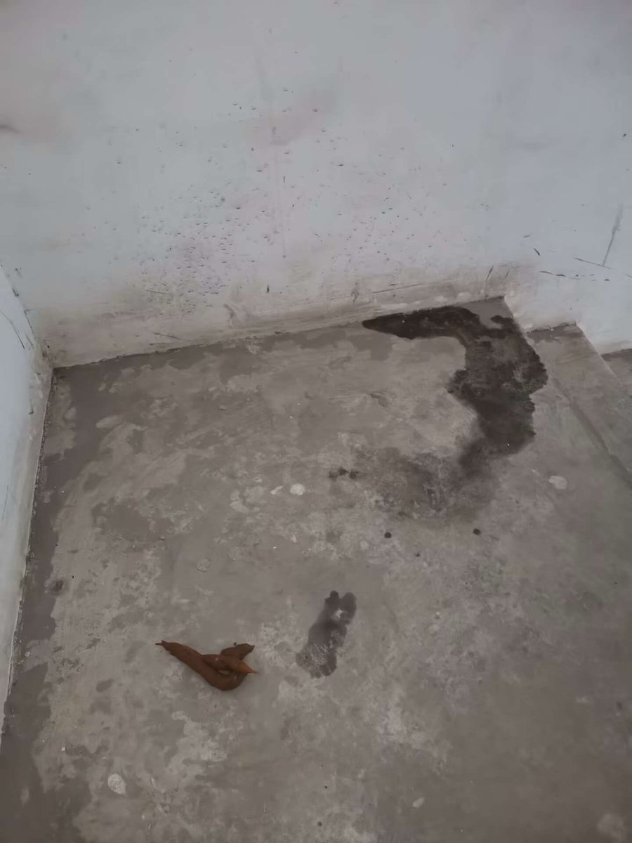 ZPing07's tweet photo. 中专技校女神随地大小拉，裤子一脱就是拉屎喷屎💩，好刺激啊，哈哈哈，煞笔贱狗天天想吃屎喝尿 #女神 #女权 #留学生活 #高智商 #女性崇拜 #护士 #彩礼 #女性独立 #拉屎 #厕奴 #内裤 #职高 #护理 https://t.co/GlRmMaV2a3