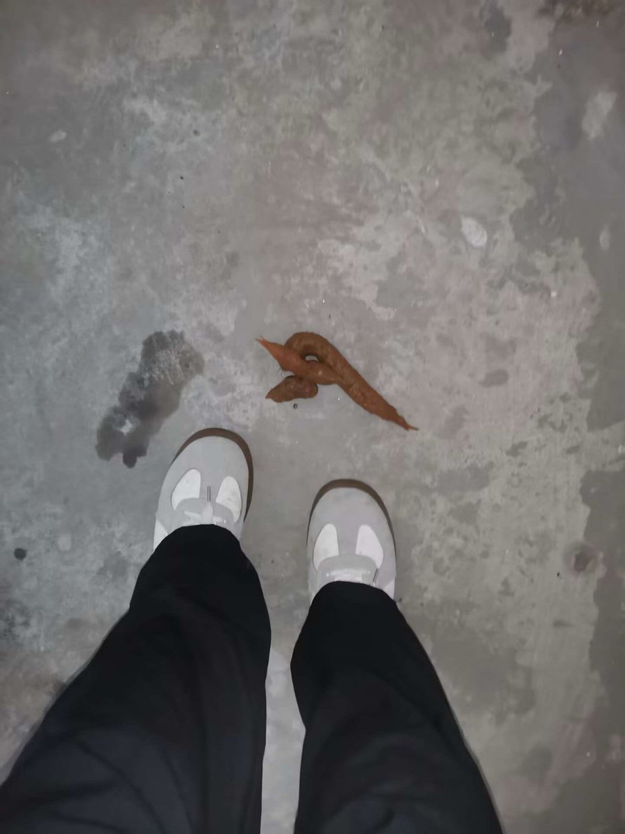 ZPing07's tweet photo. 中专技校女神随地大小拉，裤子一脱就是拉屎喷屎💩，好刺激啊，哈哈哈，煞笔贱狗天天想吃屎喝尿 #女神 #女权 #留学生活 #高智商 #女性崇拜 #护士 #彩礼 #女性独立 #拉屎 #厕奴 #内裤 #职高 #护理 https://t.co/GlRmMaV2a3