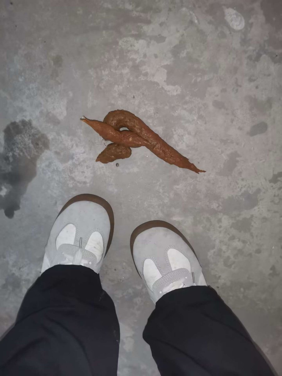 ZPing07's tweet photo. 中专技校女神随地大小拉，裤子一脱就是拉屎喷屎💩，好刺激啊，哈哈哈，煞笔贱狗天天想吃屎喝尿 #女神 #女权 #留学生活 #高智商 #女性崇拜 #护士 #彩礼 #女性独立 #拉屎 #厕奴 #内裤 #职高 #护理 https://t.co/GlRmMaV2a3