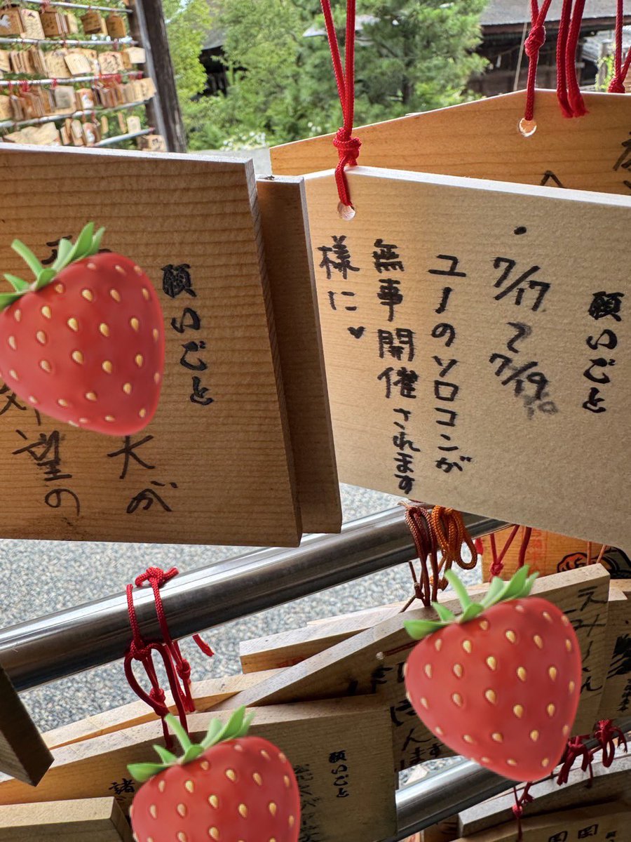 yunoyunoichigo's tweet photo. 神様どうかお願いします🙏
（サインペンが手で滲んだけど💦
数日前にお願いして来ました） https://t.co/xSZ31MtDt0