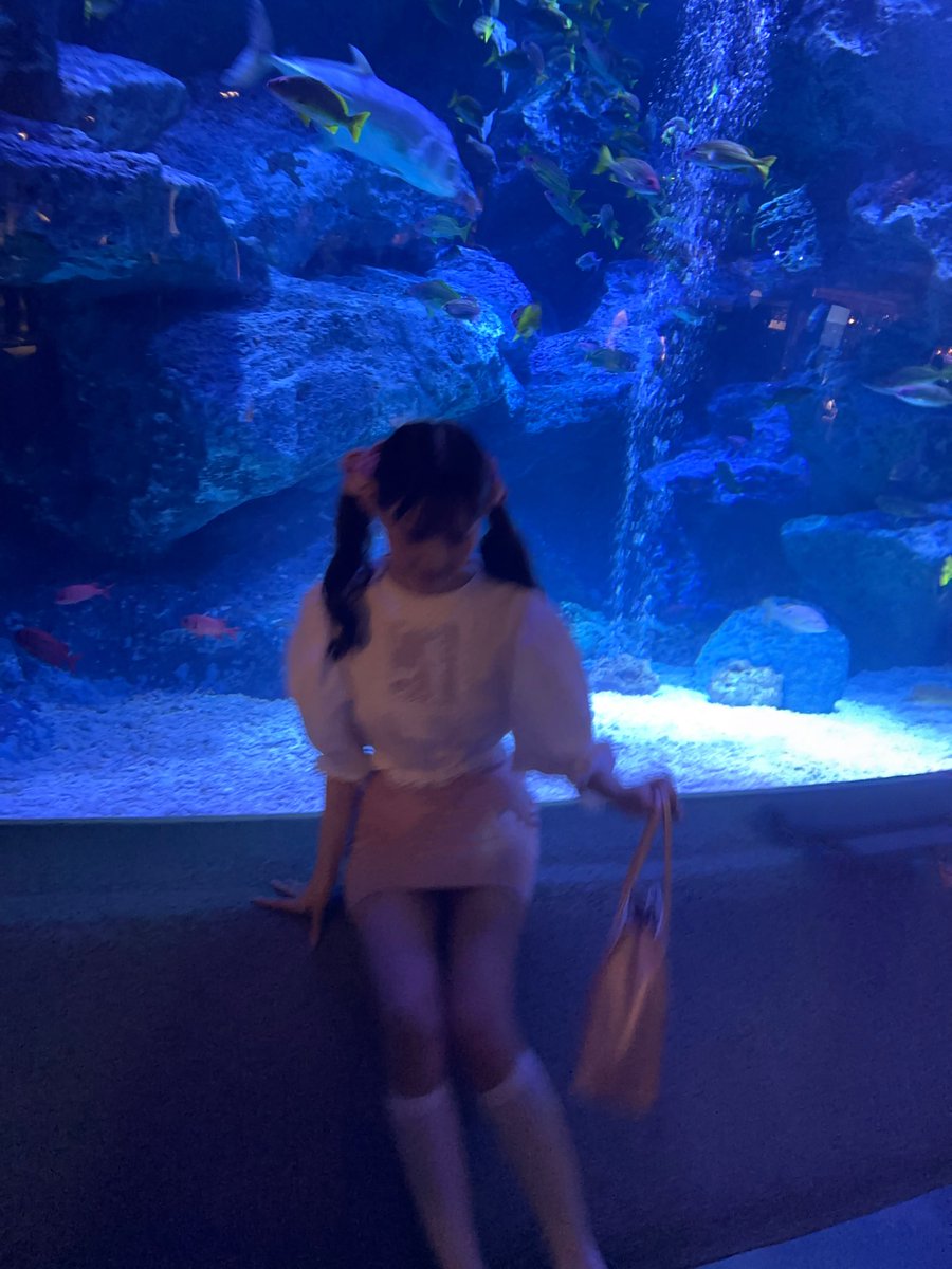 felonyrose__n's tweet photo. 幼き頃から水族館は大好きです🪼🦭🫧 https://t.co/4ZCsj7KHHI