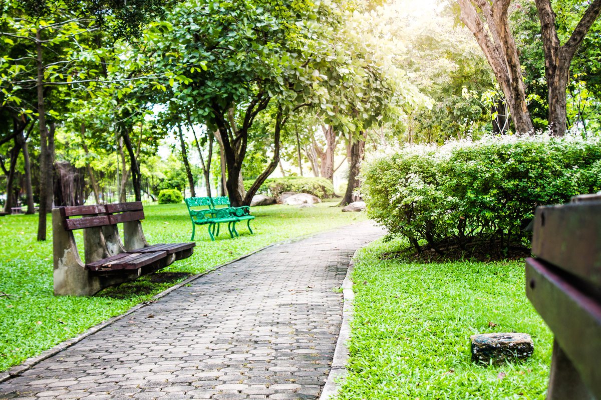 Ann38987164's tweet photo. Join our Photography Club this Saturday for a morning walk and casual photo share in Central Park! All skill levels are welcome—bring your camera or phone. https://t.co/ICphihHasp