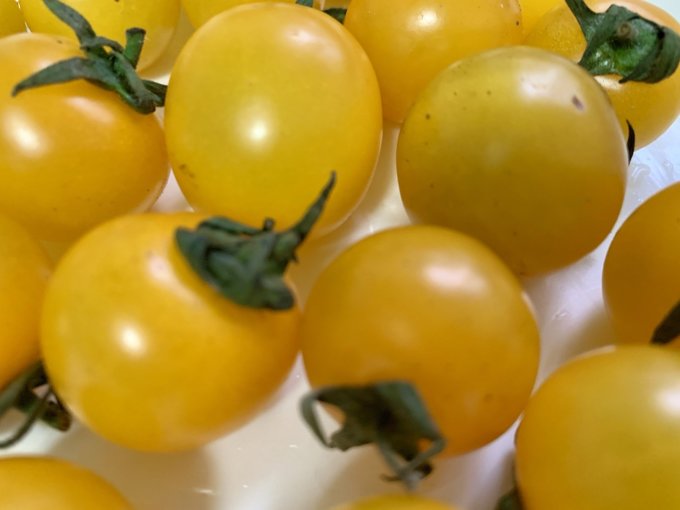 Oholv1's tweet photo. [This sun-ripened cherry tomato is juicy, sweet, and burst-with-flavor! Perfect for salads or snacks—10/10 for fresh, garden-grown goodness.  #ProduceReview]， https://t.co/hYZ1obte80