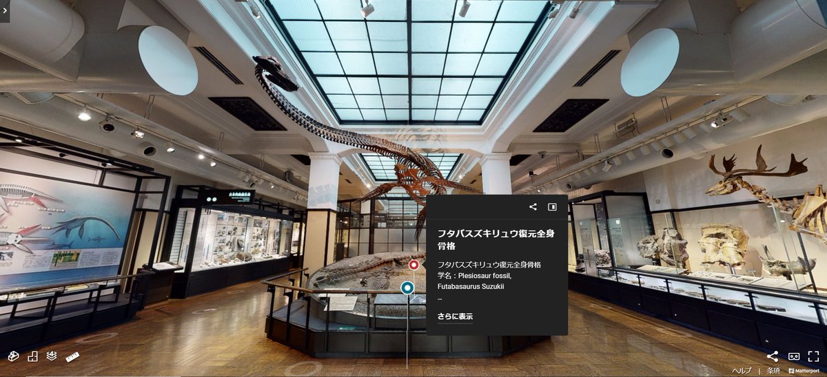 museum_kahaku's tweet photo. ◤🏦おうちで体験！#かはくVR 🏦◢

常設展示や過去の企画展を高画質で撮影し、3Dビュー＋VR映像で公開しております。

お手持ちのスマートフォンやPCで、いつでもどこでも、自由にお楽しみいただけます😊
ぜひご鑑賞ください💫

https://t.co/wlIGSKtTjB 
⚠️データ量が大きくなります。ご注意下さい！ https://t.co/pTJR3OJ3RS