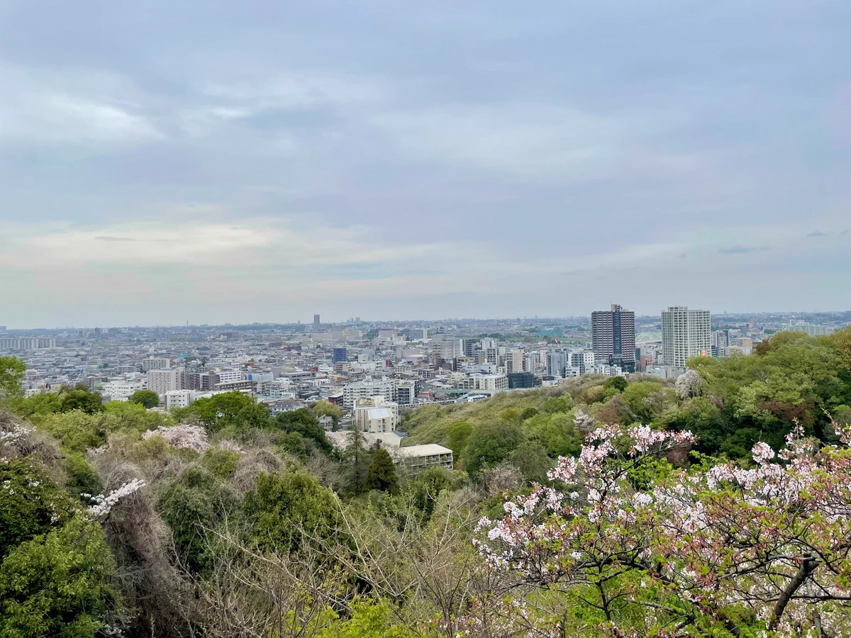 神代植物公園 【公式】 on X: 