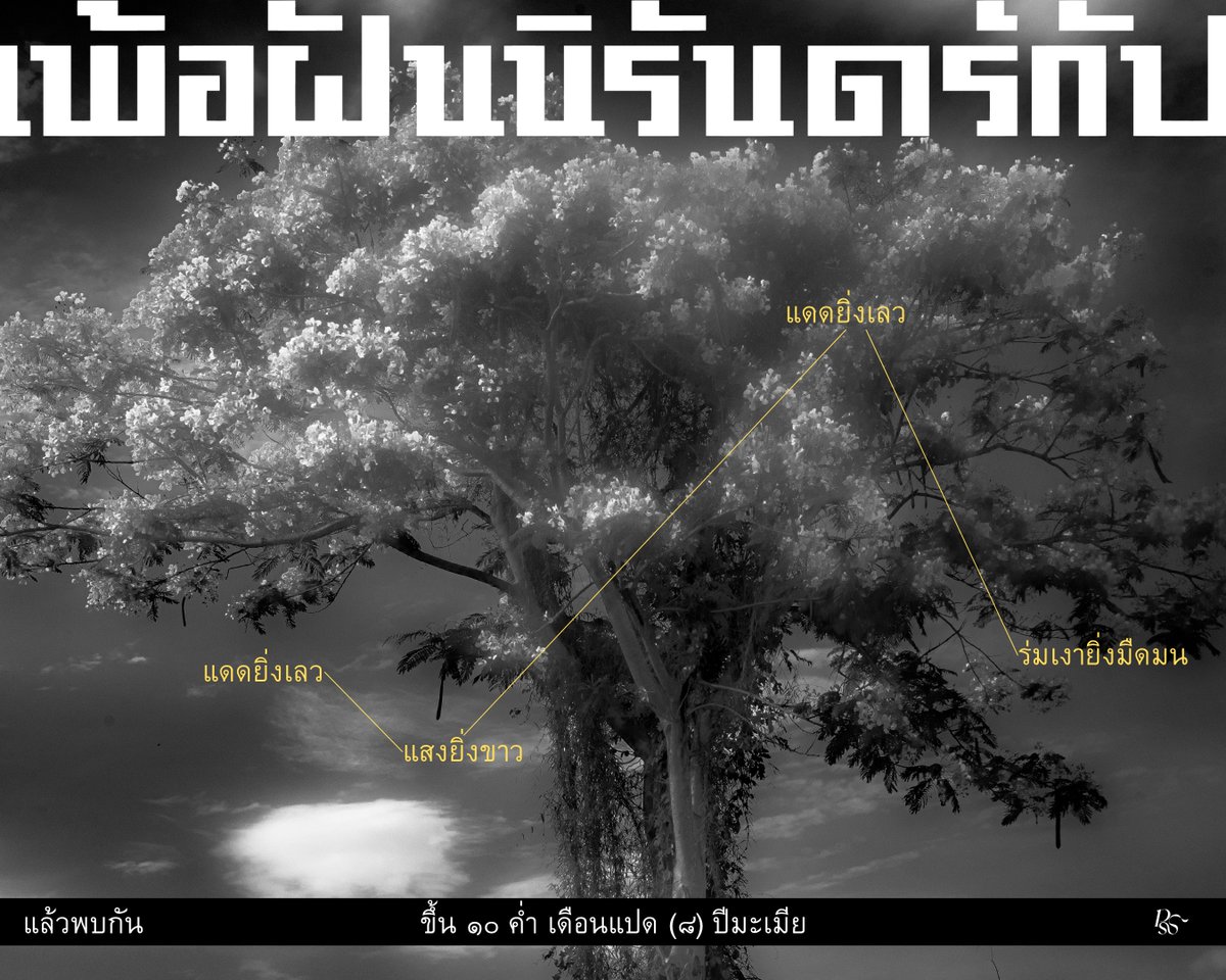 PSpublish's tweet photo. ท่ามกลางเศษซากทรงจำในน้ำมือพระผู้ทำลายและฝนบัวกระหน่ำ เรื่องราวอุบัติซ้ำครึ้มจริงครึ้มลวงเกิดดับในโลกธาตุขาวดำ เมื่อแดดเลวสาดลงบนต้นมะขาม แสงขาวพาดผ่านฟิล์มดำซ้อนทับอดีตแห่งบ้านคุ้งพยอม 
.
พบกันวันเมฆเทา ฟ้าครึ้ม
ขึ้น ๑๐ ค่ำ เดือน ๘ ปีมะเมีย
𑁍
.
#เพ้อฝันนิรันดร์กัป #จิตจงกล https://t.co/ToaxXjgbsZ