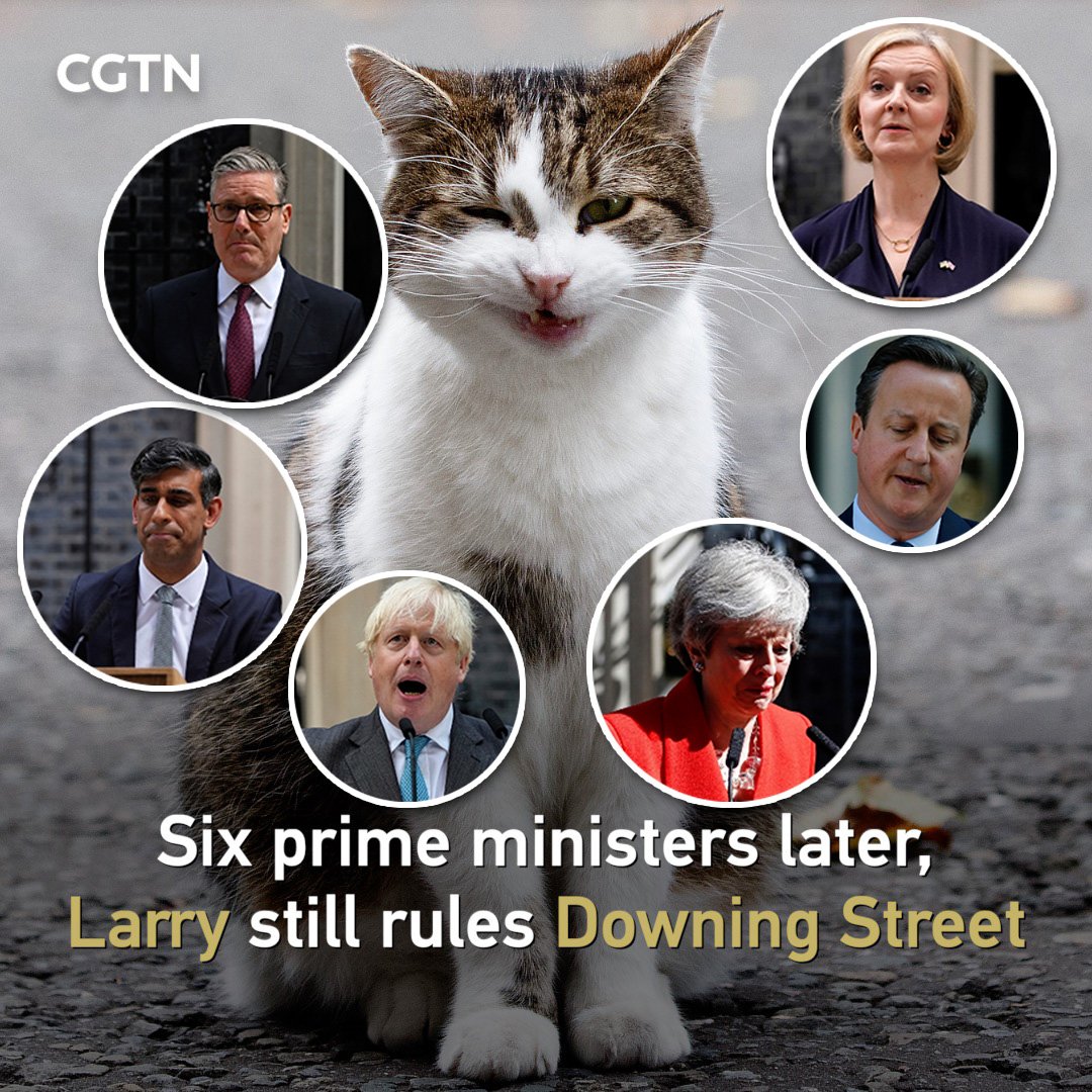 CGTNOfficial's tweet photo. Prime ministers come and go. Larry stays put.

Since moving into 10 Downing Street in 2011, Britain's Chief Mouser has served alongside six prime ministers: David Cameron, Theresa May, Boris Johnson, Liz Truss, Rishi Sunak and Keir Starmer. With Starmer announcing his resignation, Larry is now preparing to welcome prime minister number seven. One cat. Six departing leaders. Still no plans to leave office.