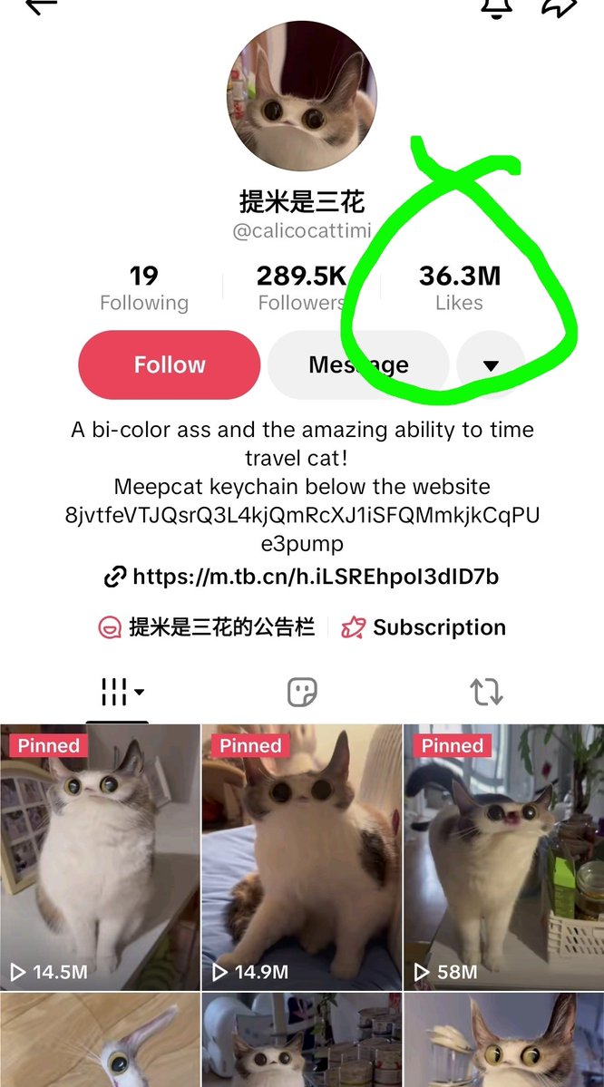CaptainFr4n's tweet photo. Everyone loves an overnight success story.

What they don't see is that Meep Cat's creator, Timmy, spent over a year posting content before anything went viral.

We convinced him to start an Instagram back in January.

A few months later? Millions of views.

The lesson is simple.

Keep posting. Keep building. Keep showing up.

The internet rewards consistency eventually. 🐱🔥