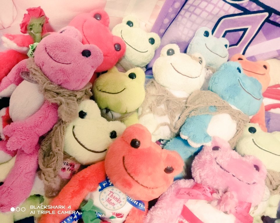 Neuro0305's tweet photo. #かえるのピクルス #カエルのピクルス
#ぬいぐるみ ケロちゃんいっぱい増えた♪
めっちゃかわいい家族👨‍👩‍👦⭐️✨明日にまた
もう1人来るよっ^⑅_  ̫_⑅^っ🪄^♔︎_  ̫_^っ🪄 https://t.co/0HxczmXeEY