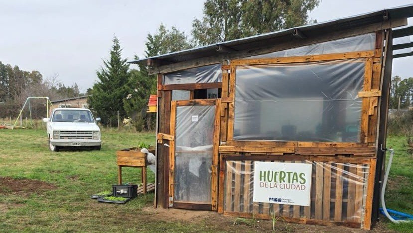 Val_Fabian's tweet photo. 🌱✨ ¡Inauguramos el #Invernadero de #APADEA! ✨🌱

Luego de mucho trabajo en equipo, logramos concretar un viejo anhelo para la institución. 
Un nuevo espacio donde los chicos podrán producir y cuidar sus plantines en mejores condiciones, fortaleciendo el aprendizaje, la inclusión y la autonomía.🌿💚

Agradecemos a docentes, directivos y familias por acompañar y hacer posible cada paso de este proyecto.🙌

Desde #HuertasDeLaCiudad🍅🥦🌼 junto al Intendente @fsusbielles seguimos trabajando dia a dia para generar más oportunidades a través de la huerta.🌱

#EnEquipo🙌
✉️huertasdelaciudad@bahiablanca.gov.ar