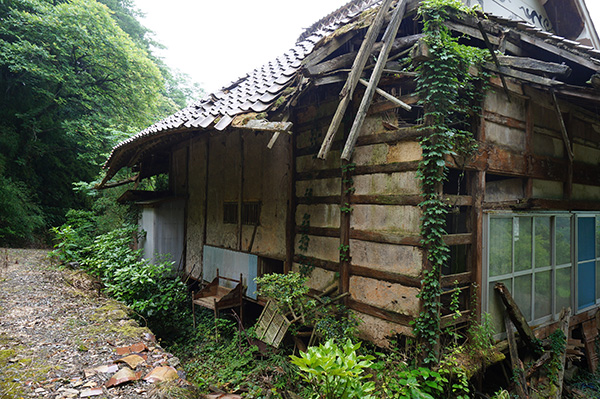 ohohnyan's tweet photo. 【無住寺院】清太寺（島根県川本町 松が崎）

臨済宗・東福寺派で、開基は大永元年（1521）。
もとは清泰寺といい、永禄元年（1558）に小笠原長雄の室（吉川家息女）が仏門に入り堂宇の大修繕を行い、中興として貴山妙富尼の名を残しており、その位牌もあるという。

#島根県 #川本町 #寺院 https://t.co/y3GZWvOjd3