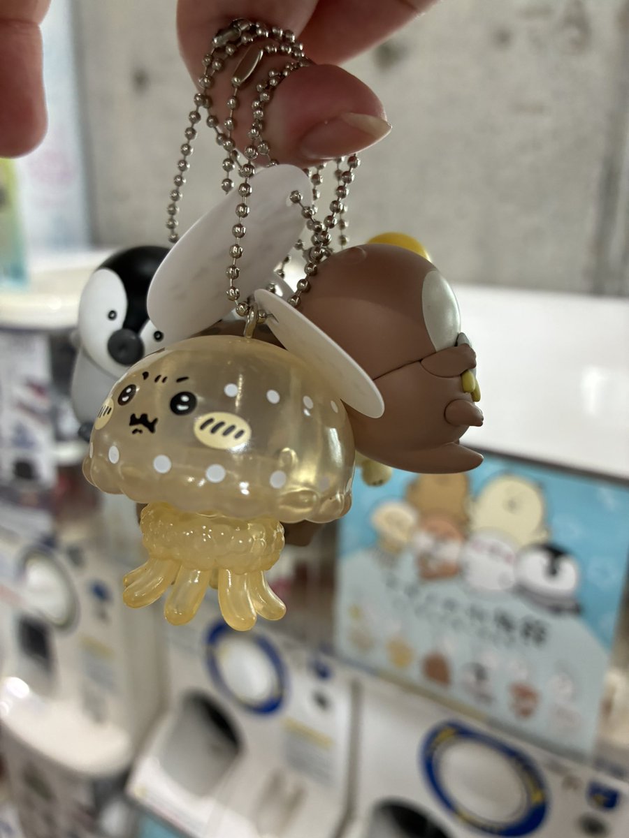 7uxn___'s tweet photo. 🐟🐟🐟 https://t.co/i8iJdYGSn9