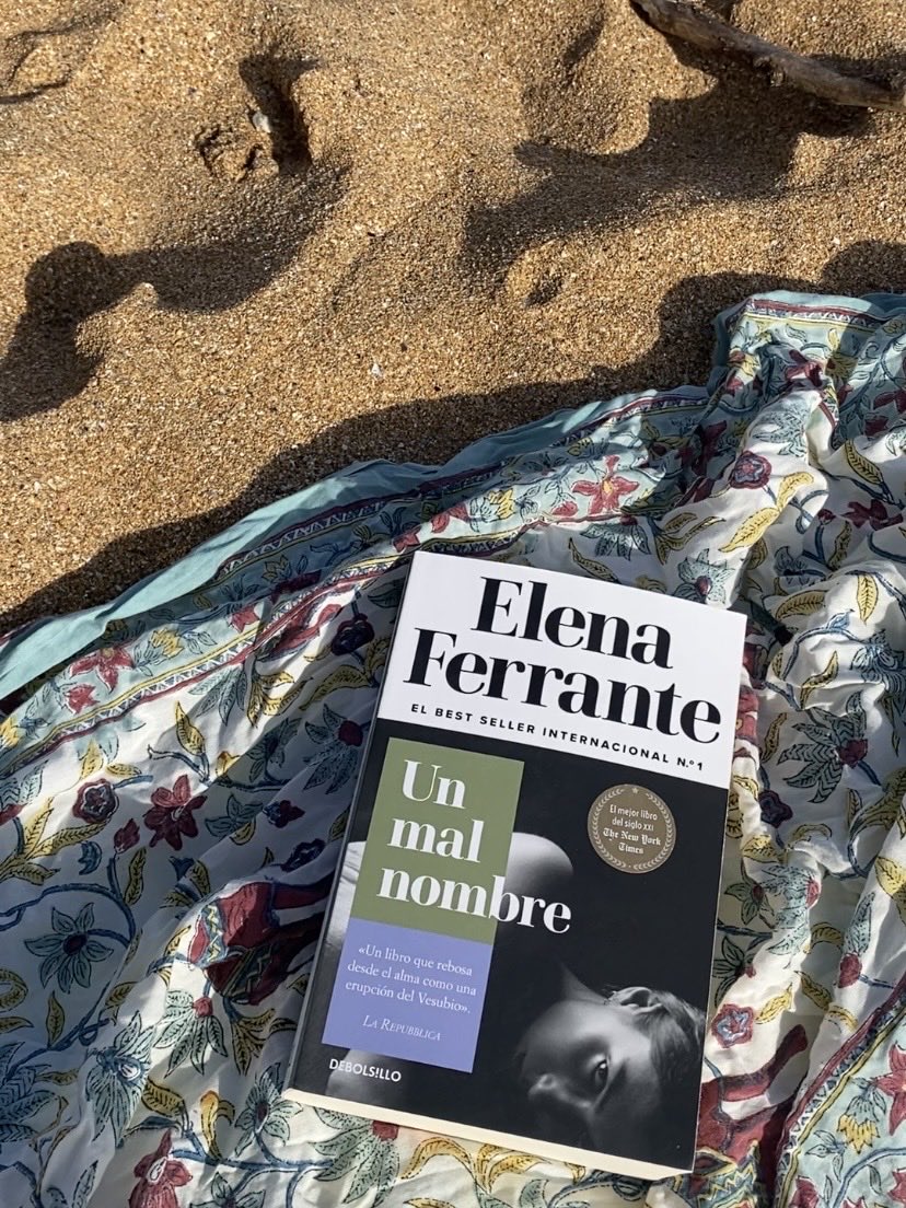 eyretartt's tweet photo. my elena ferrante summer has started https://t.co/OPMRWzbLKY