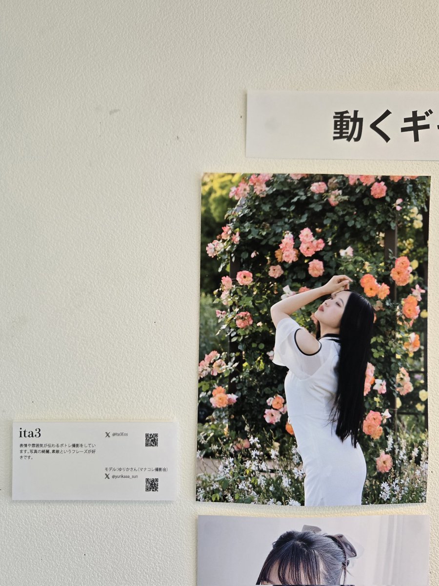 Ita3Eos's tweet photo. Osaka Street 6月場所
「みんなの写真展」本日閉幕になりました
@fotohumaga

初出展での緊張もありましたが、運営様のお気遣いで、とても楽しい写真展でした、���世話になりました、
また、期間中、ご来場頂きました皆様、お出掛け頂きありがとうございました

作品model :ゆりかさん
@yurikaaa_sun https://t.co/YrwwgP69gR