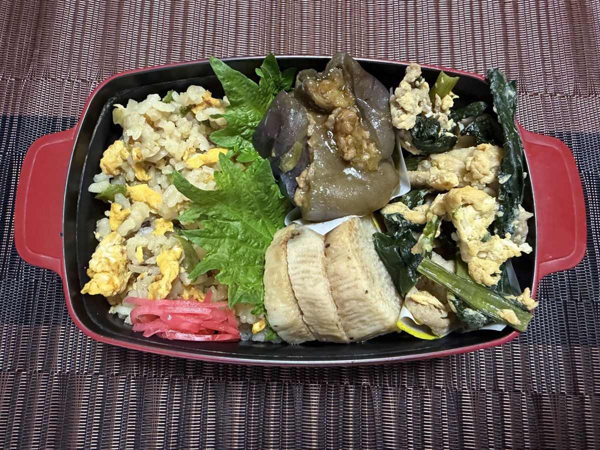 sumatraomi's tweet photo. 今日弁当🍱

炒飯
肉茄子
長芋オイマヨソテー
小松菜肉玉炒め

#お弁当
#お弁当おかず
#お弁当記録
#お弁当日記
#おべんとう https://t.co/b6AsEjf0Ir