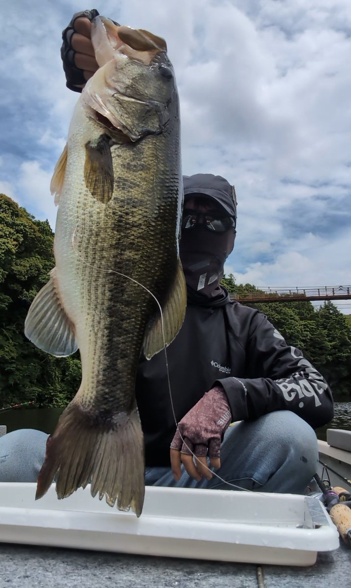 ito19560919's tweet photo. 6/23(火)豊英ダム☁☀水温21℃
SHIMANO BASS SESSION🎣
54.5㌢2390㌘優勝🏆️
１本勝負ってことで自分を信じてやり通せました!!
参加された皆様お疲れ様でした❗
株式会社SHIMANO様参加させて頂きありがとうございました🫡
#豊英
#豊英つり舟センター
#シマノバスセッション
#SHIMANOBASSSESSION https://t.co/5NmnAvOSlx