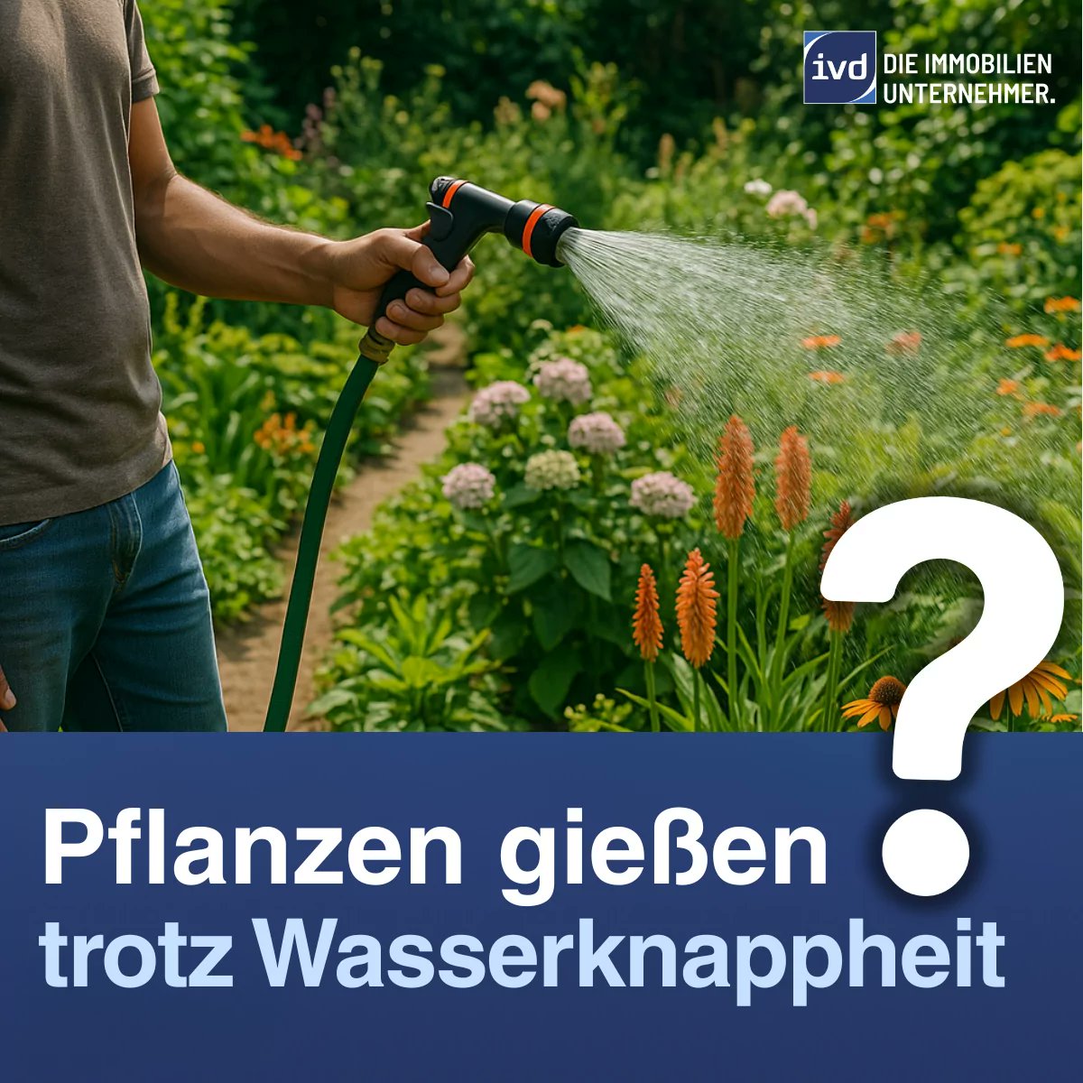 falkenhaus's tweet photo. Trockenheit setzt Pflanzen zu und Trinkwasser wird knapp. Deshalb: smarter gießen statt verschwenden! 🌱💧

https://t.co/7COUCnAsWJ

#garten #gartenpflege #wassersparen #nachhaltigkeit #pflanzen #bewässerung #regenwasser #trinkwasser #wasserknappheit #savewater #gartenarbeit https://t.co/8wklCldSiM